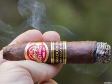 Đánh giá hương vị của xì gà Partagas Maduro No.2