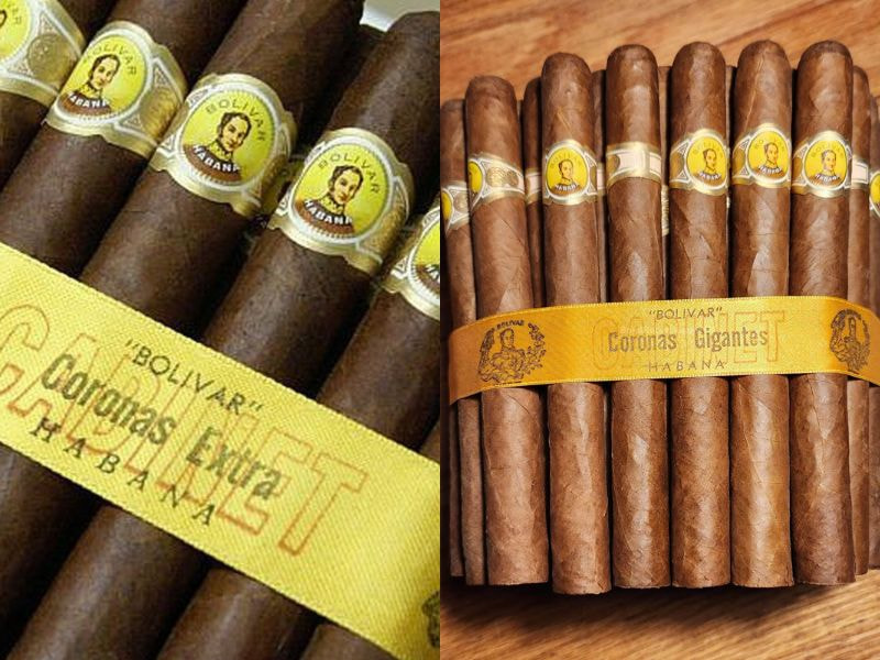 So-sanh-2-san-pham-ban-chay-nhat So sánh 2 sản phẩm bán chạy nhất của hãng Bolivar