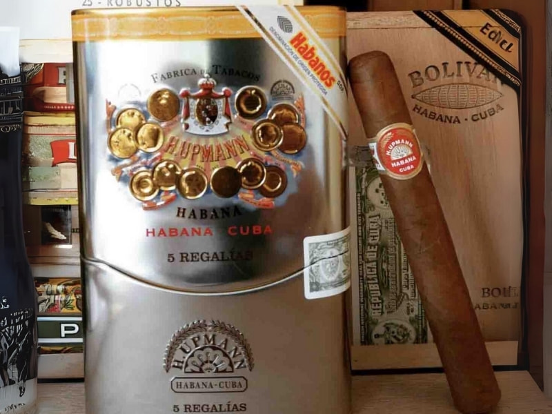 danh-gia-hinh-thuc-cua-Xi-ga-H.upmann-Regalias Đánh giá hình thức của H.upmann Regalias