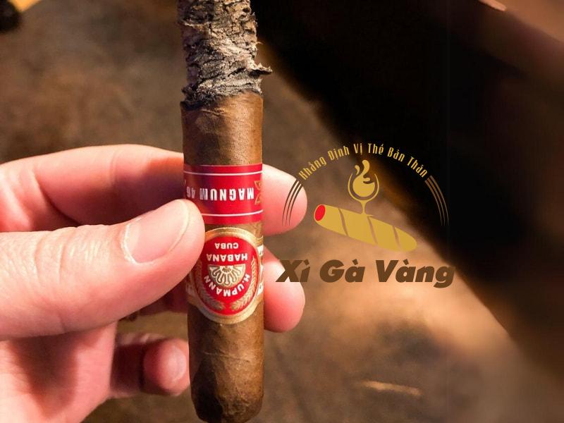 Đánh giá hương vị của cigar H. Upmann Magnum 46