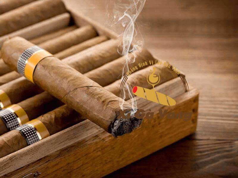 Địa chỉ chọn mua xì gà Cuba chính hãng tại Hà Nội
