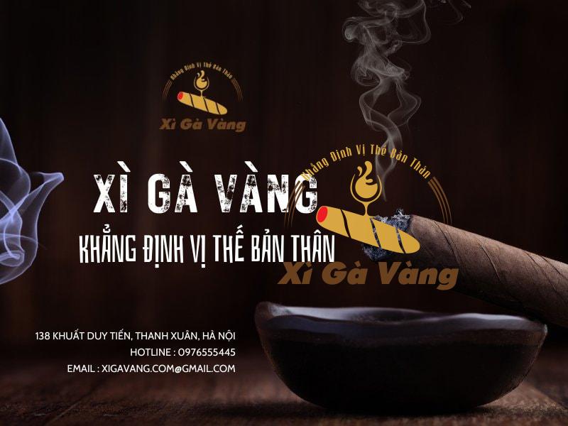 Xì Gà Vàng - Địa chỉ chuyên cung cấp xì gà chính hãng tại Hà Nội