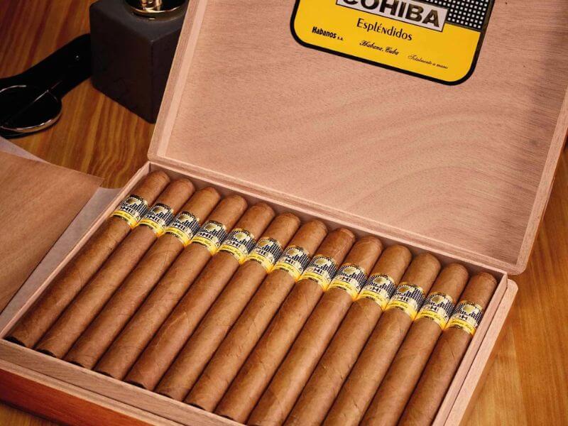 Nguyên hộp xì gà Cohiba esplendidos
