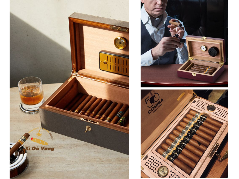 Ủ xì gà bằng hộp đựng chuyên dụng (humidor)