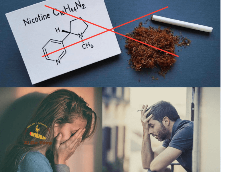 Nicotine có thể gây cảm giác buồn nôn khi hút xì gà.