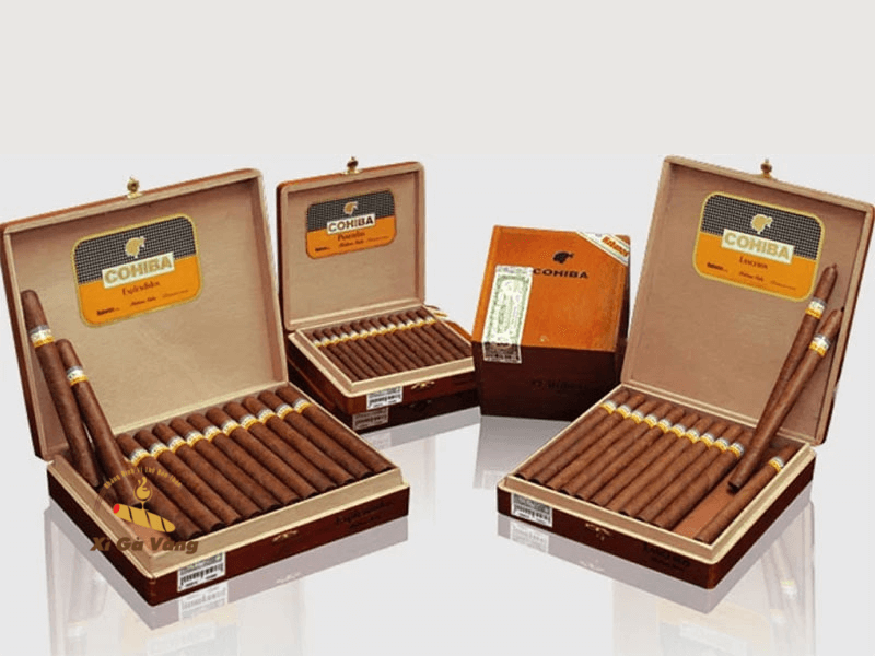 6 dòng xì gà Cohiba mà bạn phải biết