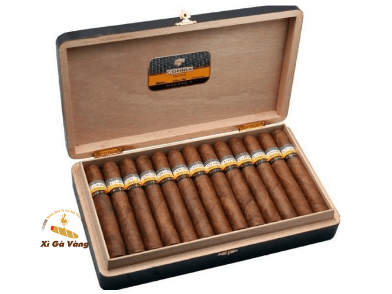 Xì gà Cohiba Genios 