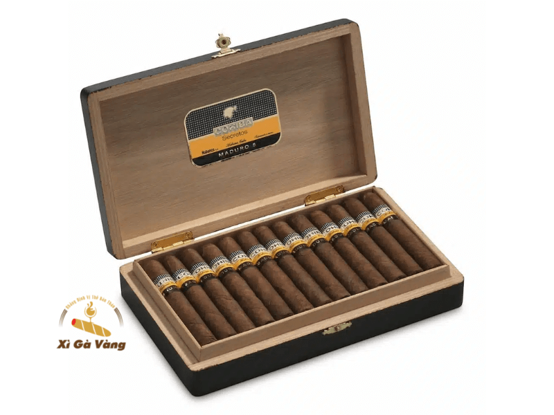 Cohiba Maduro