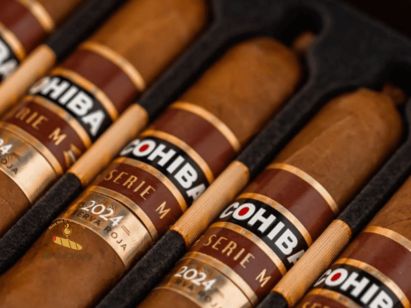 Giá bán xì gà Cohiba