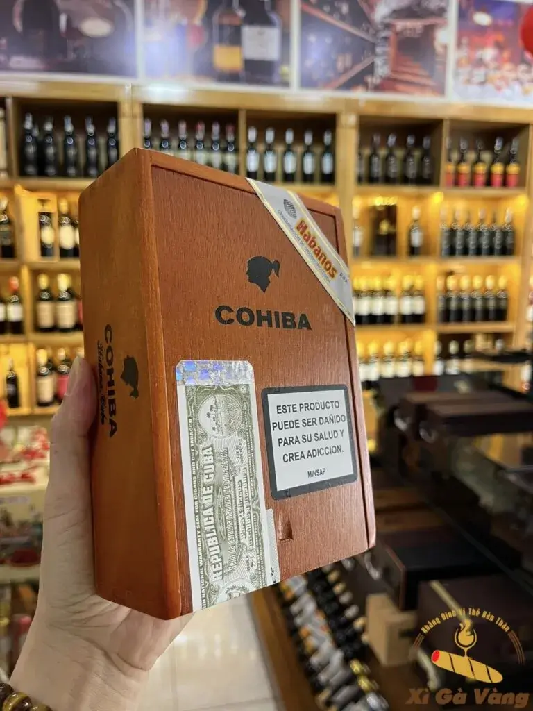 Cigar siglo 6 10 điếu hộp gỗ chất lượng 