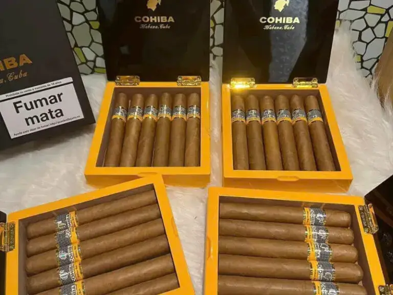 Cigar siglo 6 6 điếu sơn mài chất lượng