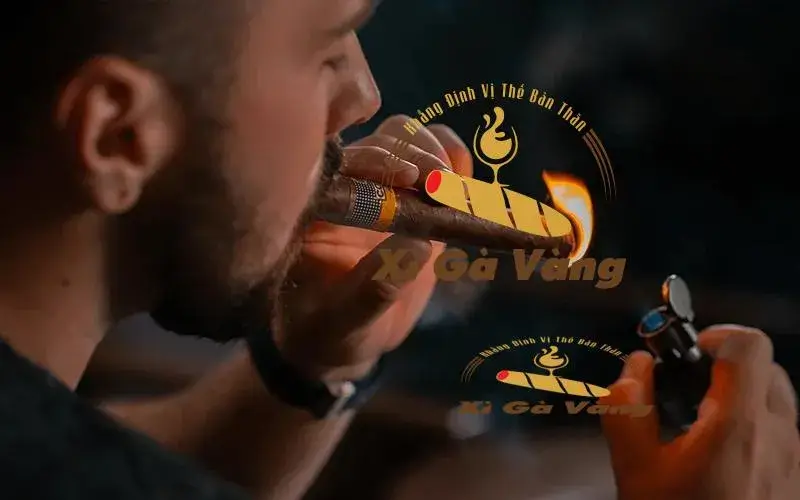 Thưởng thức phần đầu Cohiba Siglo 6 