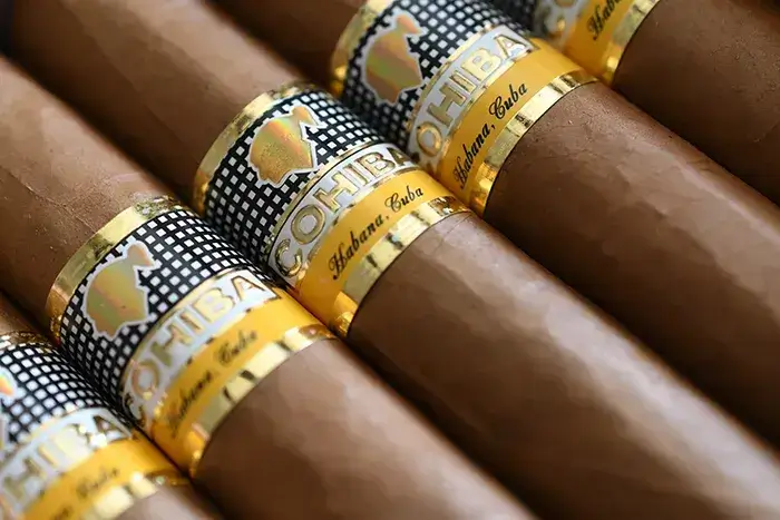 Vẻ ngoài sang trọng xì gà Cohiba Siglo 6