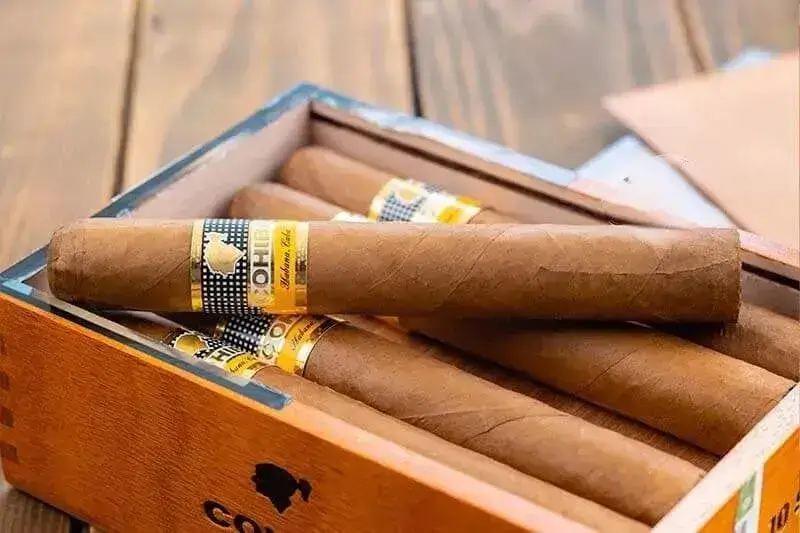 Xì gà Cohiba Siglo 6 
