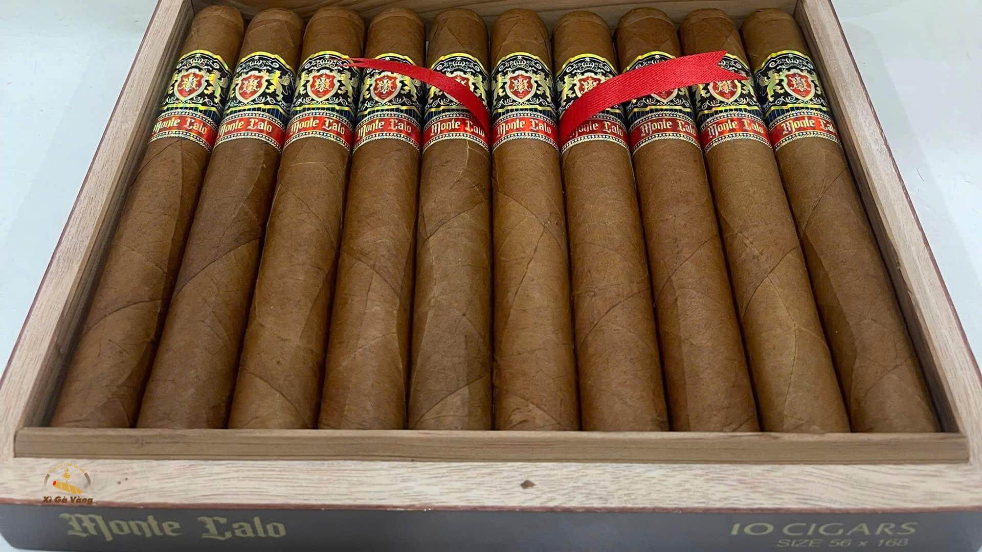 xiga-montecalo-56 Cận cảnh Monte Calo 56, màu lá đồng đều và texture lá mịn