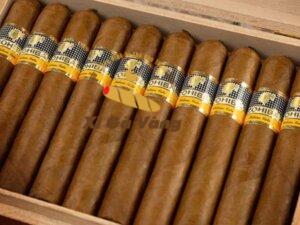 Xì gà Cohiba có phù hợp làm quà biếu không là câu hỏi nhiều người quan tâm.