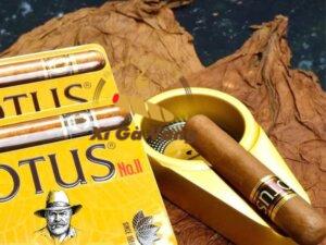 Xì gà Việt Nam thường có độ mạnh nhẹ, phù hợp hút thường xuyên.